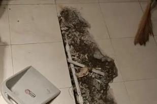 罗定卫生间漏水检测电话